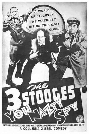 In this satire of the Nazis the Stooges are wallpaper hangers in the country of Moronica. When evil cabinet ministers overthrow the King, they decide to make Moe the new ruler as he'll be stupid enough to follow their orders. Moe becomes Dictator, Curly is a Field Marshal and Larry becomes Minister of Propaganda. After successfully preventing a female spy from committing mayhem, the boys are run out of office by a mob and eaten by lions.