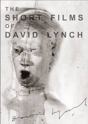The Short Films of David Lynch (2002) is a DVD collection of the early student and commissioned film work of American filmmaker David Lynch. As such, the collection does not include Lynch's later short work, which are listed in the filmography. The films are listed in chronological order, with brief descriptions of each film. The DVD contains introductions by Lynch to each film, which can be viewed individually or in sequence. # 1 Six Figures Getting Sick (Six Times) # 2 The Alphabet # 3 The Grandmother # 4 The Amputee # 5 The Cowboy and the Frenchman # 6 Premonitions Following an Evil Deed
