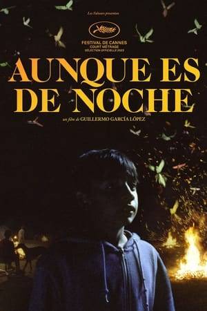 La Cañada Real, Europe’s largest slum on the outskirts of Madrid, has been without electricity for over a year. Toni, 13 years old and his best friend Nasser have made this neighborhood their playground and adventure. But one day, Nasser tells Toni that he is leaving for France with his family.