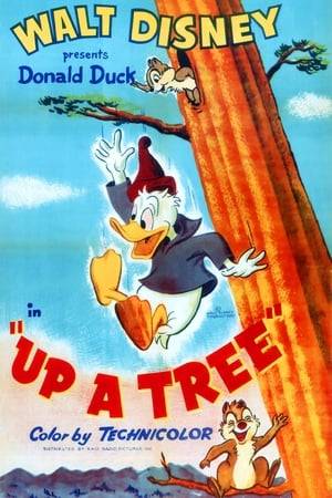 Donald's playing lumberjack, but the targeted tree just happens to be the home of Chip 'n Dale. They give Donald plenty of trouble cutting down the tree, but eventually he succeeds. The wily chipmunks, though, manage to get their revenge on the homewrecker.