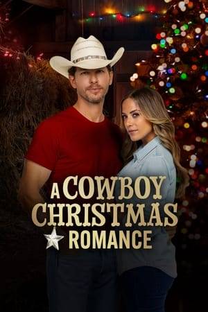 When pro real estate 'closer' Lexie Crenshaw is sent to her hometown of Tubac, AZ to close on a big ranch before Christmas, she is soon forced to confront former family drama as well as the sexy ranch owner who refuses to sell his home.
