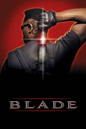 The Daywalker known as "Blade" - a half-vampire, half-mortal man - becomes the protector of humanity against an underground army of vampires.