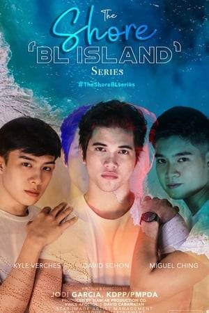 It is a story of David, a lost/stranded guy on an island who finds Simon, a companion, and they fall in love with each other despite their differences in principles about life. But when the real partner of the David came to rescue him they got separated and they discover the guy whom he fell in love with on the island.