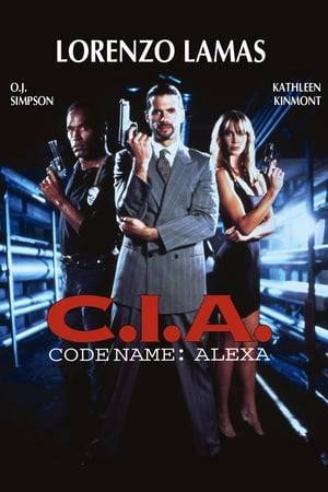 A CIA operative kills a terrorist during a prison break. When a group of terrorists attempts to recover a microchip implanted in the man's body, one of them is captured and convinced by the CIA to work for them as an informer.