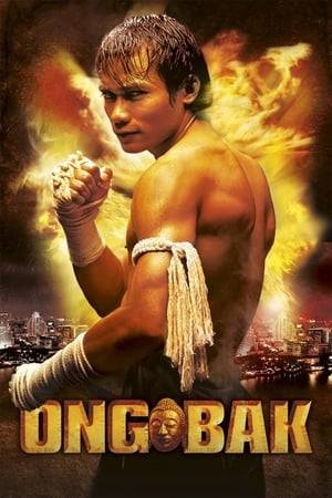 When the head of a statue sacred to a village is stolen, a young martial artist goes to the big city and finds himself taking on the underworld to retrieve it.