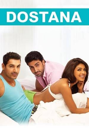 Two straight guys who pretend to be a couple to secure a posh Miami apartment fall for their gorgeous roommate. Hilarity ensures as Kunal and Sameer strive to convince everyone they are a couple while secretly trying to win Neha's heart.