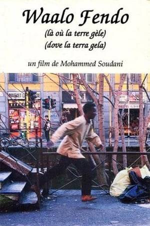 Milan, like Paris or Stuttgart, and like many other European cities, is the theater of the drama of immigration. Demba reconstructs his story and that of his brother Yaro, both Senegalese immigrants in Italy, in a long and fragmentary flashback that begins with Yaro’s murder and recounts their departure from the village, arrival in Europe, the work they find selling lighters and picking tomatoes in the south of Italy: the stages every “non-EEC citizen” goes through in Italy.