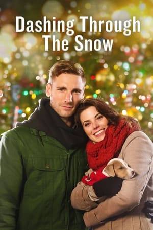 Stranded at an airport at Christmastime, Ashley Harrison accepts a ride from Dash Sutherland, who has just rented the last car in town. As the pair heads north, their adventures include car trouble, adopting a puppy and being secretly tailed by federal agents, who believe Ashley is up to no good. With a hint of romance gradually filling the air will these two fall in love or will their journey bring about an unexpected road bump to romance?