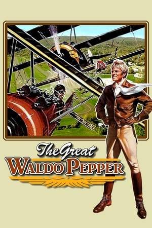 A biplane pilot who had missed flying in WWI takes up barnstorming and later a movie career in his quest for the glory he had missed.