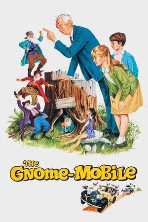 An eccentric millionaire and his grandchildren are embroiled in the plights of some forest gnomes who are searching for the rest of their tribe. While helping them, the millionaire is suspected of being crazy because he's seeing gnomes! He's committed, and the niece and nephew and the gnomes have to find him and free him.