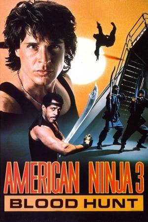 Jackson is back, and now he has a new partner, karate champion Sean, as they must face a deadly terrorist known as "The Cobra", who has infected Sean with a virus. Sean and Jackson have no choice but to fight the Cobra and his bands of ninjas.