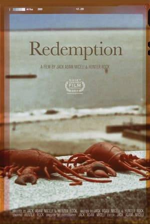 'Redemption' (2017) submitted to the Quiet Corner Film Festival. In 2017, the film received prizes for Third Place and Audience Favorite at the festival.