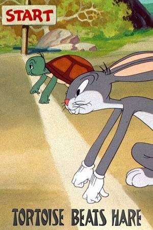 Bugs Bunny challenges slick Cecil Turtle to a race.