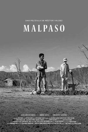 In the border town of Malpaso: Braulio works with his grandfather while his twin, Candido, remains secluded due to his albinism. After their grandfather passes, Braulio will look after Candido, who dreams of the return of their father.