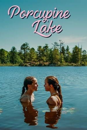 During a hot and hazy summertime in northern Ontario, 13-year-old Bea wants a best friend more than anything else, but when she meets boisterous Kate, she gets more than she imagined. A story of bravery, small-town summer love, and the secret world of girls.