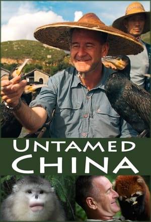 In new six-part series Untamed China, wildlife adventurer Nigel Marven explores the country's mountains and grasslands, crosses its greatest deserts and treks through its deepest jungles in search of the rare, little-known and extraordinary creatures that live there. Over half of China's plant and animal species live in Yunnan Province in the far southwest of the country. In episode one, Nigel goes there to explore the ancient city of Dali and the surrounding mountains and forests. He meets some bizarre and deadly reptiles and amphibians, goes on a very unusual fishing trip, enjoys the fairy-tale lifecycle of butterflies and gets up close to highly endangered Yunnan snub-nosed monkeys.