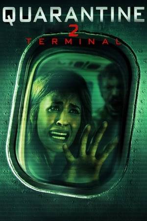 A plane is taken over by a mysterious virus. When the plane lands it is placed under quarantine. Now a group of survivors must band together to survive the quarantine.