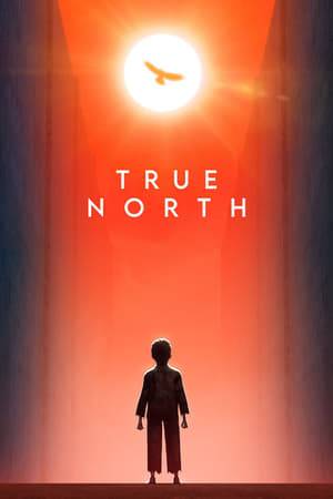 After his father disappears and the rest of his family is sent to a notorious political prison camp in North Korea, a young boy must learn to survive the harsh conditions, find meaning in his perilous existence, and maybe even escape.
