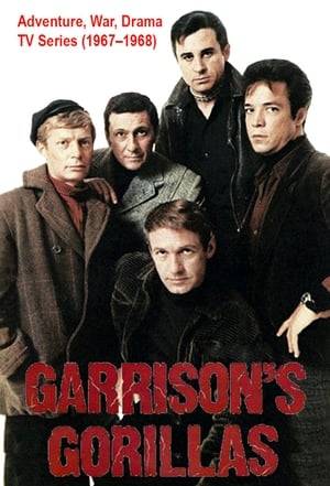 Garrison's Gorillas is an ABC TV series broadcast from 1967 to 1968; a total of 26 hour-long episodes were produced. It was inspired by the 1967 film The Dirty Dozen, which featured a similar scenario of training Allied prisoners for World War II military missions.

Garrison's Gorillas was canceled at the close of its first season and replaced by The Mod Squad in 1968. It managed to gather a cult following in China in the 1980s.