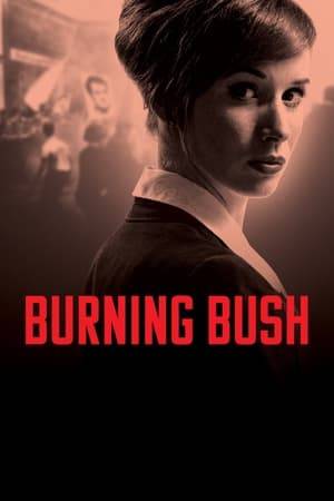 Based on real characters and events, this haunting drama focuses on the personal sacrifice of a Prague history student, Jan Palach, who set himself on fire in protest against the Soviet occupation of Czechoslovakia in 1969. Dagmar Burešová, a young female lawyer, became part of his legacy by defending Jan's family in a trial against the communist government, a regime which tried to dishonour Palach’s sacrifice, a heroic action for the freedom of Czechoslovakia.