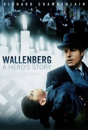 Wallenberg: A Hero's Story is a 1985 NBC mini-series starring Richard Chamberlain as Raoul Wallenberg, a Swedish diplomat instrumental in saving thousands of Hungarian Jews from the Holocaust.

It won four Emmy Awards and was nominated for five more.