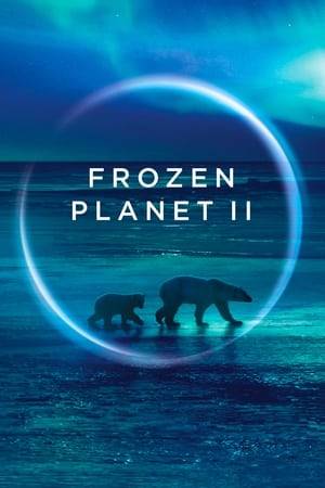 Ten years on from the original Frozen Planet, this documentary series takes audiences back to the wildernesses of the Arctic and Antarctica and tells the complete story of the entire frozen quarter of our planet that’s locked in ice and blanketed in snow.