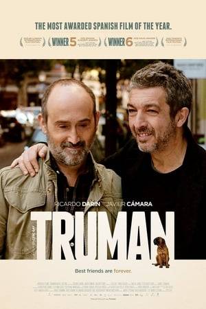 Tomás, who lives in Canada, travels to Madrid, Spain, to visit his old friend Julián. Both of them, accompanied by Truman, Julián's faithful dog, will share many surprising and emotional little moments, triggered by the hard situation Julián is going through, for just a few days.