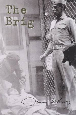 An ultra-realistic depiction of life in a Marine Corps brig (or jail) at a camp in Japan in 1957. Marine prisoners are awakened and put through work details for the course of a single day, submitting in the course of it to extremely harsh and shocking physical and mental degradation and abuse.