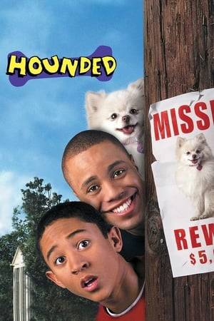 A teenager ends up being hounded by a well-groomed and seemingly cute and tiny dog that actually turns out to be a nightmare of a beast.