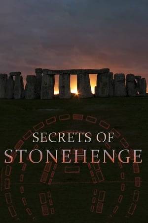 Dated to the late Stone Age, Stonehenge may be the best-known and most mysterious relic of prehistory. Every year, a million visitors are drawn to England to gaze upon the famous circle of stones, but the monument's meaning has continued to elude us. Now investigations inside and around Stonehenge have kicked off a dramatic new era of discovery and debate over who built Stonehenge and for what purpose. How did prehistoric people quarry, transport, sculpt, and erect these giant stones? Granted exclusive access to the dig site at Bluestonehenge, a prehistoric stone-circle monument recently discovered about a mile from Stonehenge, NOVA cameras join a new generation of researchers finding important clues to this enduring mystery.