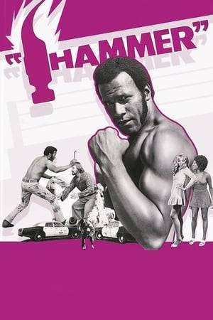 Hotheaded laborer B.J. Hammer can't go long without ending up in a fight, and, after he comes out on top in a particularly impressive workplace scuffle, word of his brawling skills makes its way to Davis, a top boxing manager. Hammer is hired by Davis and begins a lucrative career in the ring, only to find out that his new employer wants him to throw a fight and take part in other illicit activities. Hammer reacts to this news violently, and the feud is on.