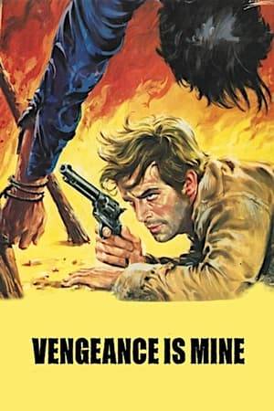 Johnny Forest, bounty hunter, attempts to carry out his mother's dying wish that he bring in his outlaw brother, Clint, alive. On the run from Jurago, a former partner he has crossed, Clint accepts Johnny's help, and agrees to surrender ..... for now.