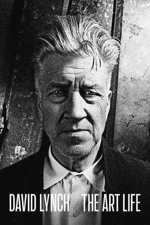 An intimate journey through the formative years of David Lynch's life. From his idyllic upbringing in small town America to the dark streets of Philadelphia, we follow Lynch as he traces the events that have helped to shape one of cinema's most enigmatic directors.