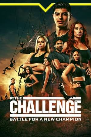 Each Challenge pits numerous cast members from past seasons of reality shows against each other, dividing them into two separate teams according to different criteria, such as gender, which show they first appeared on, whether or not they're veterans or rookies on the show, etc. The two teams compete in numerous missions in order to win prizes and advance in the overall game.