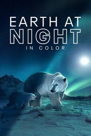 Filmed across six continents, this docuseries uses cutting-edge camera technology to capture animals' nocturnal lives, revealing new behaviours filmed in full color like never before.