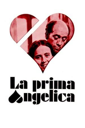 When the single middle-aged Luis travels from Barcelona to bury the remains of his mother in the vault of his family in Segovia, he is lodged by his aunt Pilar in her old house where he spent his summer of 1936 with her. He meets his cousin Angelica, who was his first love, living on the first floor with her husband and daughter, and he recalls his childhood in times of the Spanish Civil War entwined with the present.