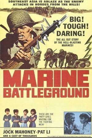 A division of marines survive a battle with the Chinese army but find themselves stranded without contact on the wrong side of the front.