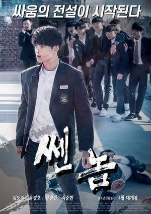 Dong-ho is ranked number 1 in "Arena," an illegal gambling league for teens, but he steps down to prepare for college. However, the members of "Arena" don't want to lose their biggest money-maker, so they place a debt on his brother Dong-min. Dong-min literally fights against his debt, but when he gets hurt, Dong-ho decides to fight back.