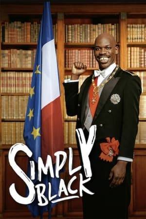 A failed 40 year old comedian wants to organize the first Black protests in France but meeting with other French celebrities of the Black community will make it a whole new adventure.