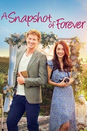 Wedding photographer Jessie Brooke's happy small town life is turned upside down when a famous Hollywood actor shows up at her parent's lakeside vineyard for his sister's wedding.