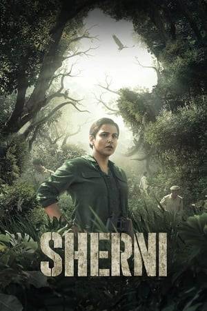 A jaded forest officer leads a team of trackers and locals intending to capture an unsettled tigress while battling intense obstacles and pressures, both natural and man-made.