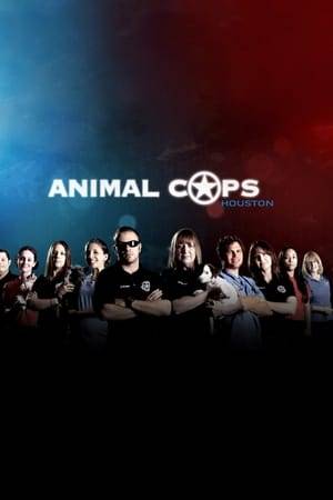 The dedicated team at the Houston Society for the Prevention of Cruelty to Animals, a private charity, responds to a variety of distress calls involving an average of more than 100 animals per day. This series documents the work they do, from the initial investigation through, in some cases, the animals being adopted into loving homes.