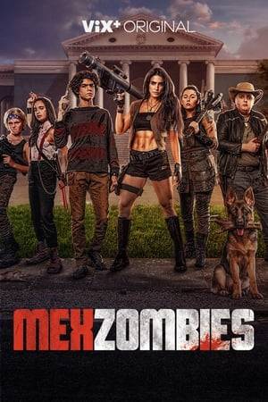 A group of teenagers must face a zombie apocalypse, and help reestablish order.
