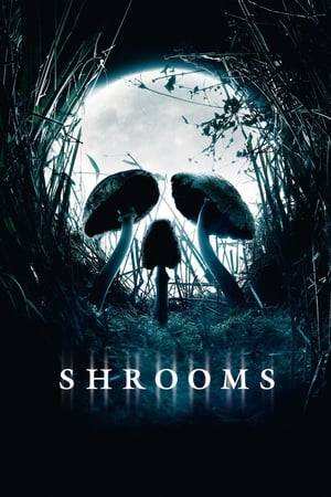 A group of American teens comes to Ireland to visit a friend who takes them on a camping trip in search of the local, fabled magic mushrooms. When the psychedelics start taking hold, the panicked friends are attacked by ghostly creatures; but how can they determine whether what they are experiencing is reality or hallucination?