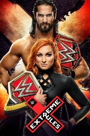 Extreme Rules 2019 is an upcoming professional wrestling pay-per-view and WWE Network event produced by WWE for their Raw and SmackDown brands. It will take place on July 14, 2019 at the Wells Fargo Center in Philadelphia, Pennsylvania. It will be the eleventh event under the Extreme Rules chronology.