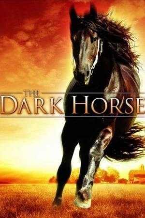 The Dark Horse is a story of struggle and redemption. Dana, a ballet teacher, reluctantly returns to her childhood home to discover it is about to be sold. To save the farm, and the family, she must tame her mother's dangerous black horse, and ride him to victory in the year's biggest dressage competition.