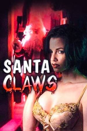 A young man finds his divorced mother having sex with a man in a Santa Claus hat and shoots them both dead. Years later, now thinking he is Santa Claus, the man develops an obsession with an erotic horror film star named Raven and begins stalking her.