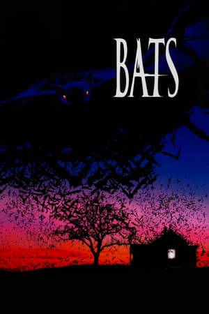 Genetically mutated bats escape and it's up to a bat expert and the local sheriff to stop them.