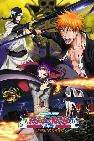 Hell – A place where beings that have committed mortal sins during their lifetime are sent. It is a realm where even Soul Reapers are forbidden to interfere. When a group of vicious Sinners plot to escape from this eternal prison, they discover that Substitute Soul Reaper Ichigo Kurosaki is the key to their freedom.