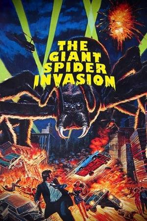 A black hole hits North Wisconsin and opens a door to other dimensions. Giant 15 meter spiders emerge from it, who have an appetite for human flesh! Dr. Jenny Langer and Dr. Vance from NASA try to save the world.